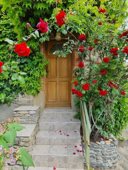 Maison Ideale Pour Une Famille Carcassonne Exterior foto
